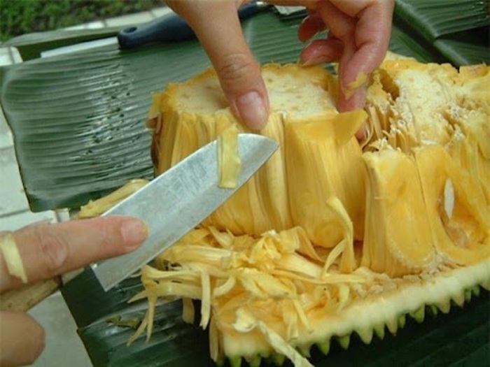 Không nên ăn mít khi mới mổ tắc ruột 