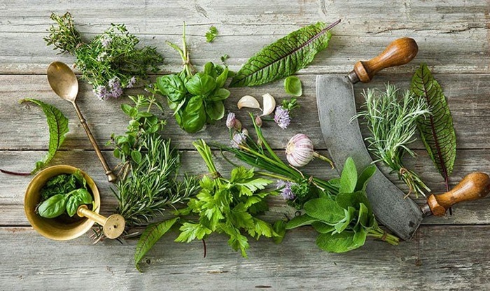 Dùng các loại thảo dược tự nhiên để trị viêm đại tràng