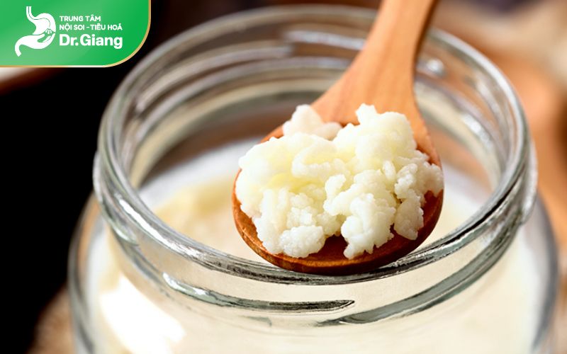 Nấm sữa Kefir cung cấp probiotic có lợi cho hệ tiêu hoá