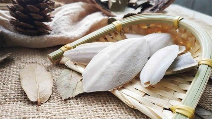 Bài thuốc Ô tặc cốt giúp giảm viêm và đau rát khi bị trào ngược