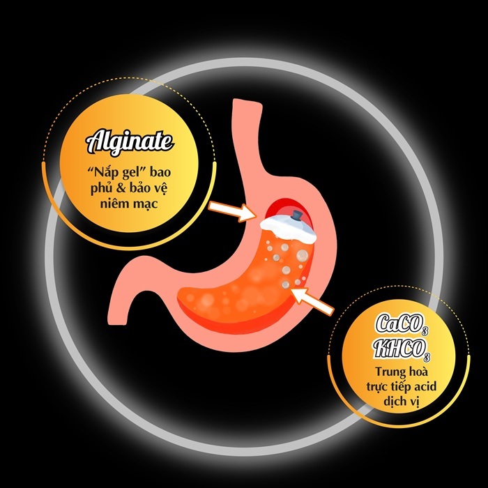Alginat bảo vệ niêm mạc dạ dày hiệu quả